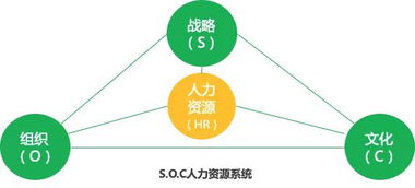 企业策划视角下HR部门为何不受重视及优化路径