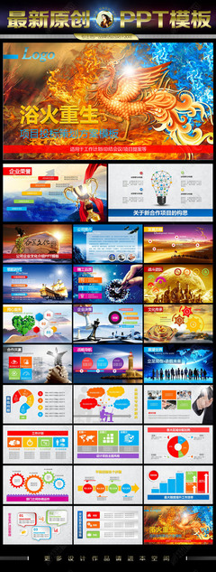 浴火重生 企业转型与竞争力重塑投标方案