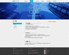企业网站设计与企业策划 构建成功的在线品牌体系