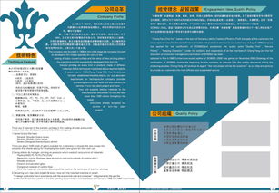 企业画册设计 版式与封面的视觉策略